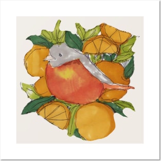 Oriole in Citrus Grove Posters and Art